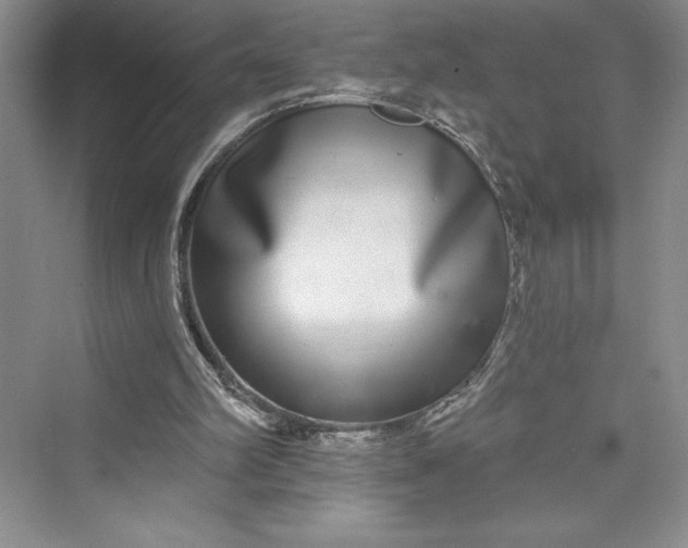 X0000073400102200608111309