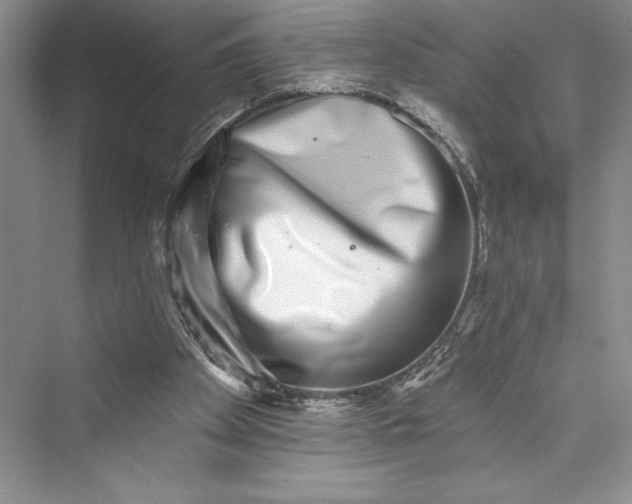 X0000073400105200608111309