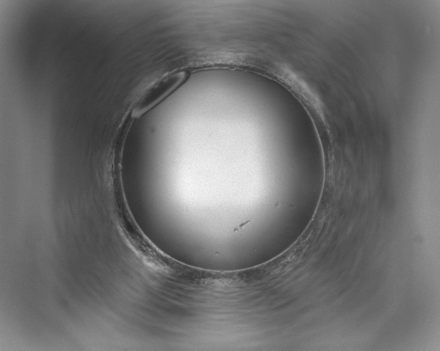 X0000073400107200608111309