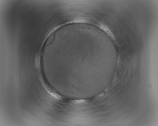 X0000073400108200608111309