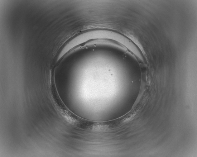 X0000073400109200608111309