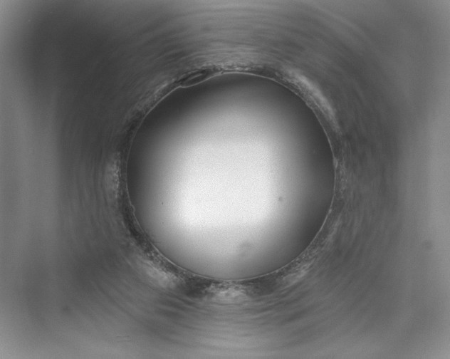 X0000073400113200608111309