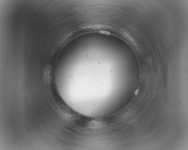 X0000073400119200608111309