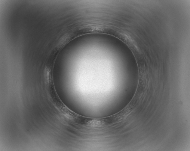 X0000073400123200608111309