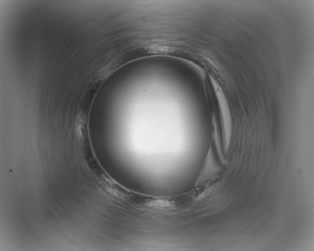 X0000073400125200608111309
