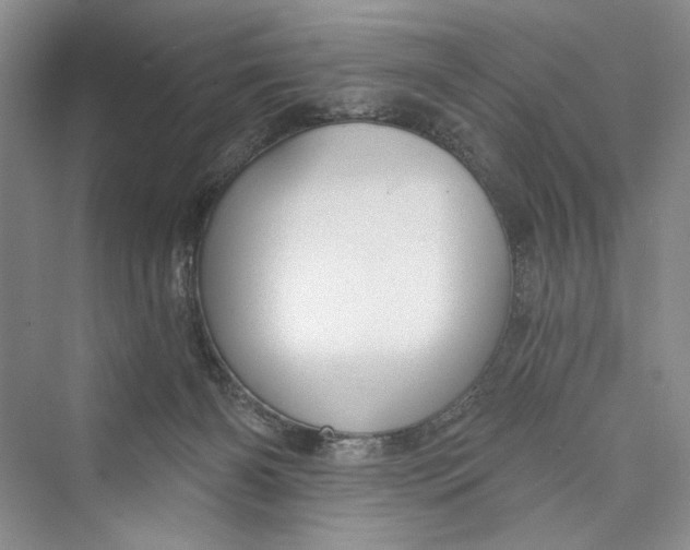 X0000073400126200608111309
