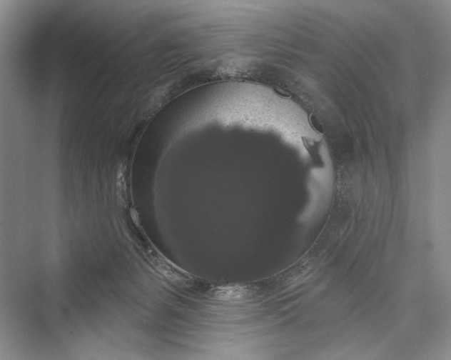 X0000073400127200608111309