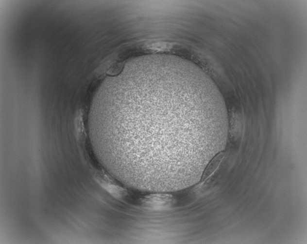 X0000073400128200608111309