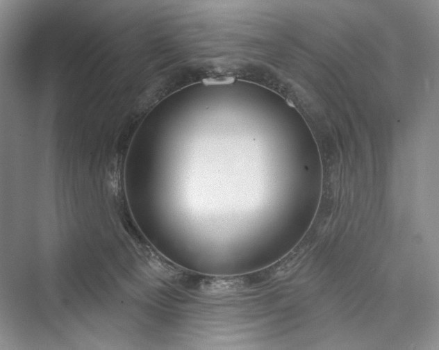 X0000073400129200608111309