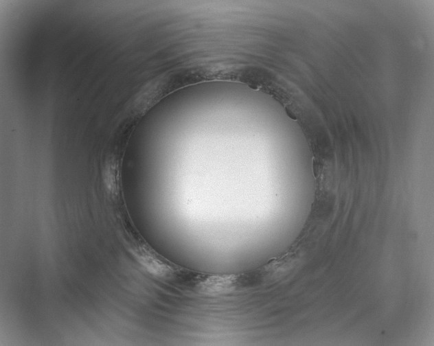 X0000073400138200608111309