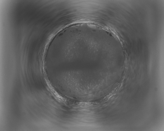X0000073400145200608111308
