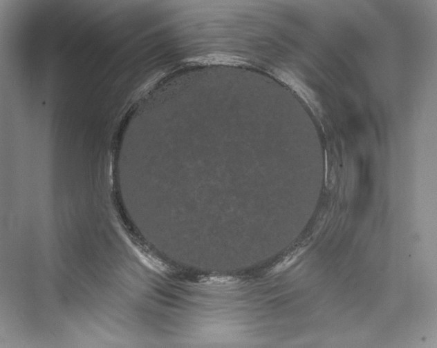 X0000073400157200608111308