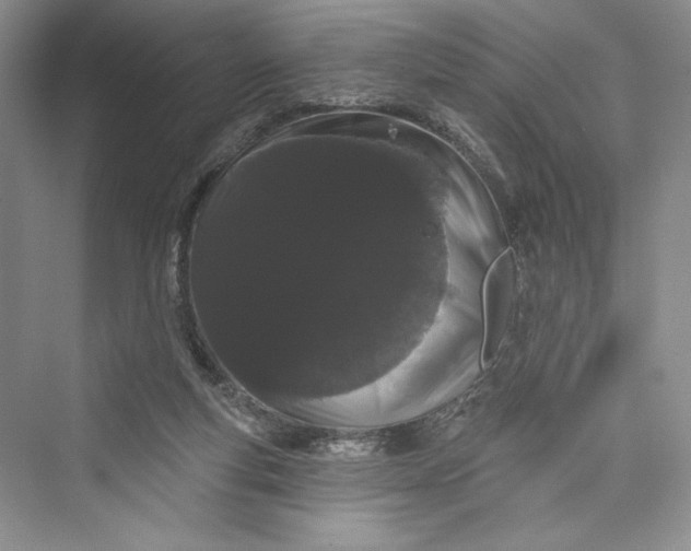 X0000073400163200608111308