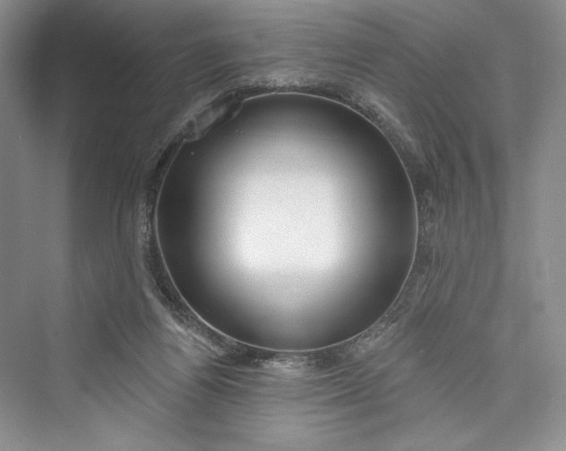 X0000073400164200608111308