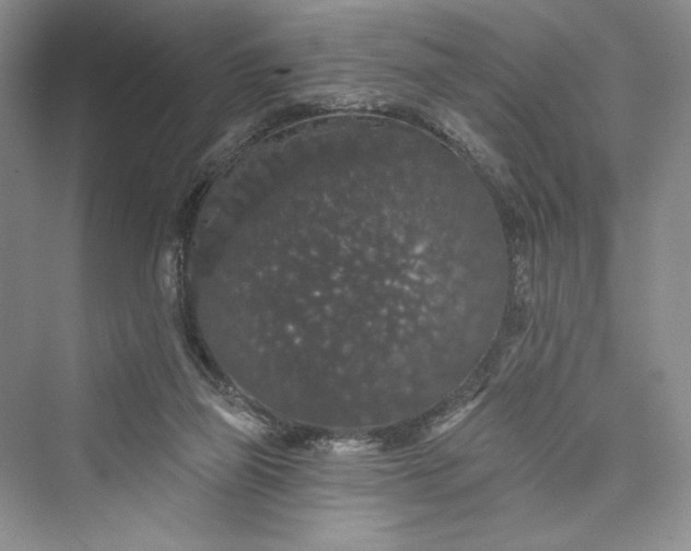 X0000073400165200608111308