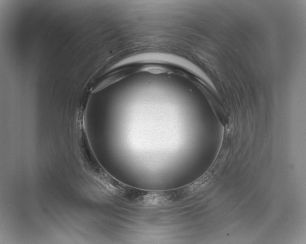 X0000073400172200608111308