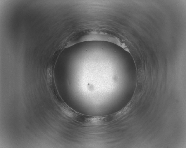 X0000073400184200608111308