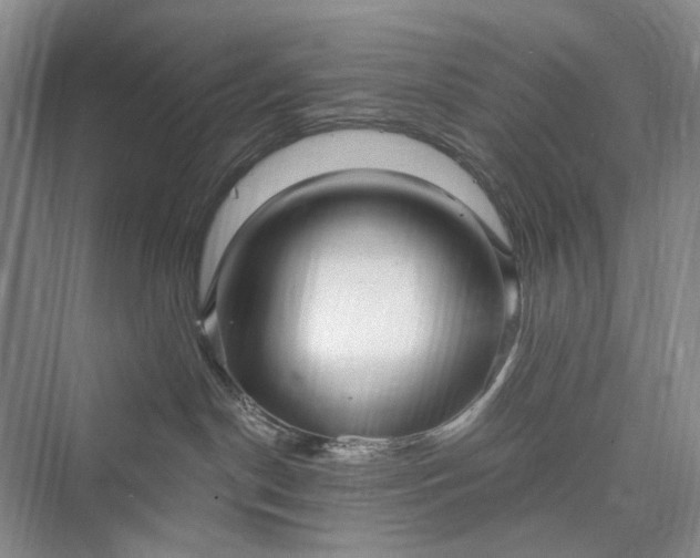 X0000073400190200608111308