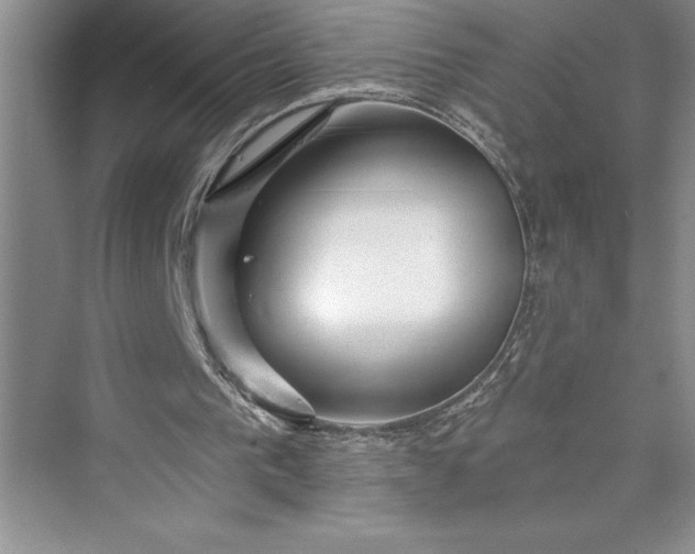 X0000073400193200608111308