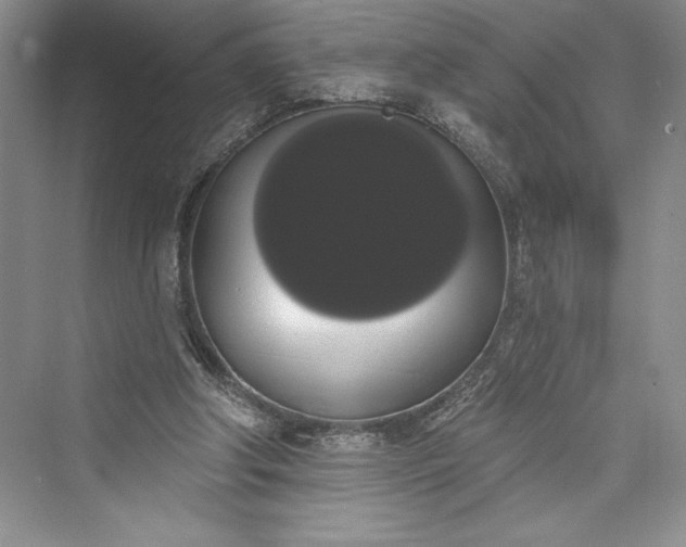 X0000073400202200608111308