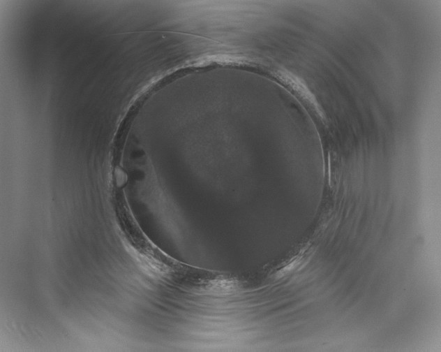 X0000073400204200608111308