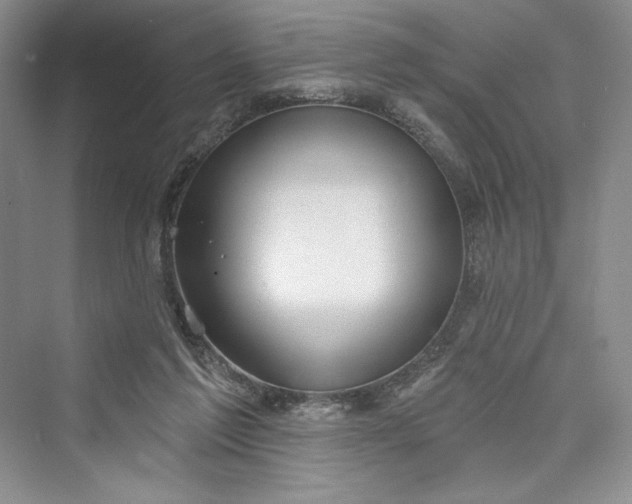 X0000073400213200608111307