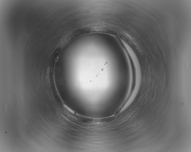 X0000073400217200608111307