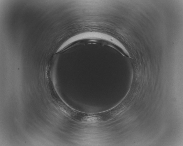 X0000073400219200608111307