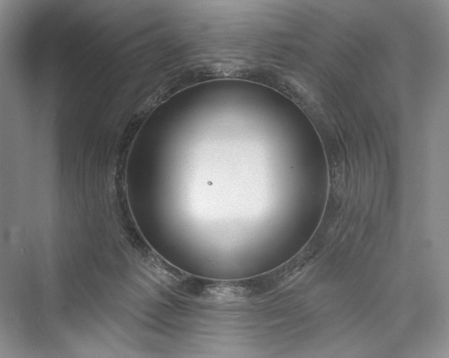 X0000073400221200608111307