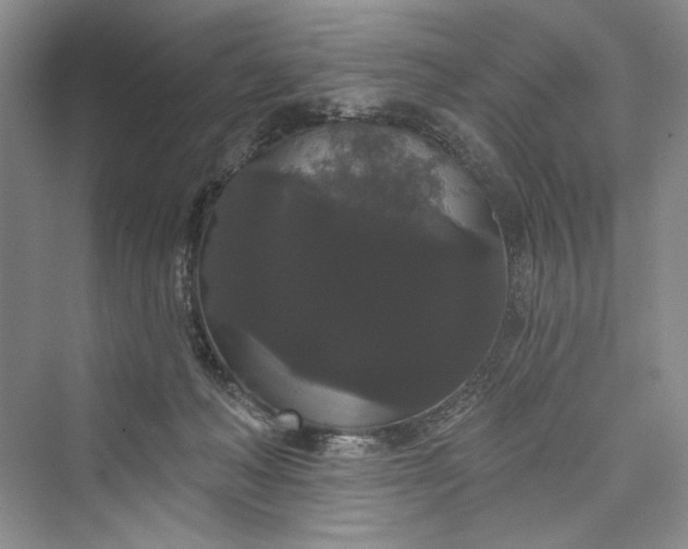 X0000073400222200608111307