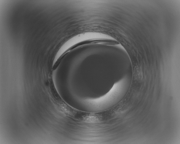 X0000073400224200608111307