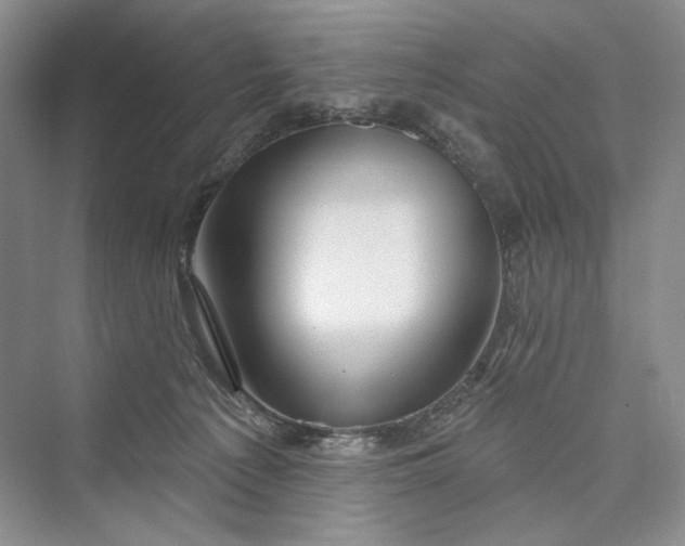 X0000073400225200608111307