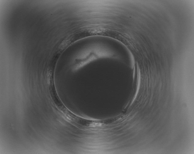 X0000073400227200608111307