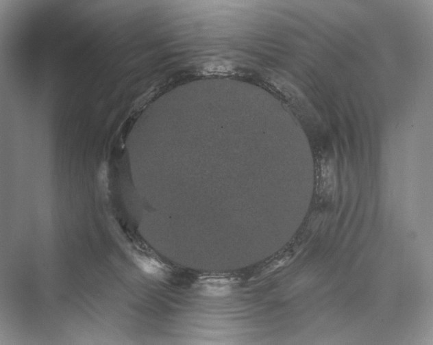 X0000073400228200608111307