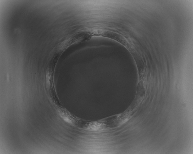 X0000073400235200608111307