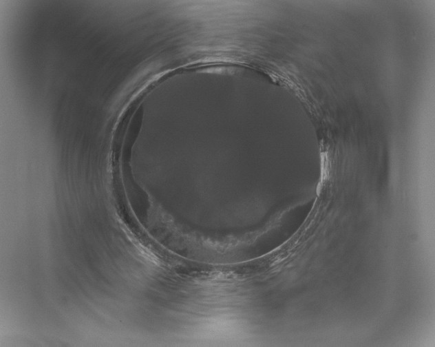 X0000073400243200608111306
