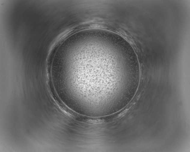 X0000073400245200608111306