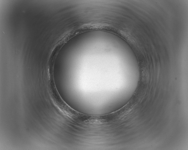 X0000073400254200608111306