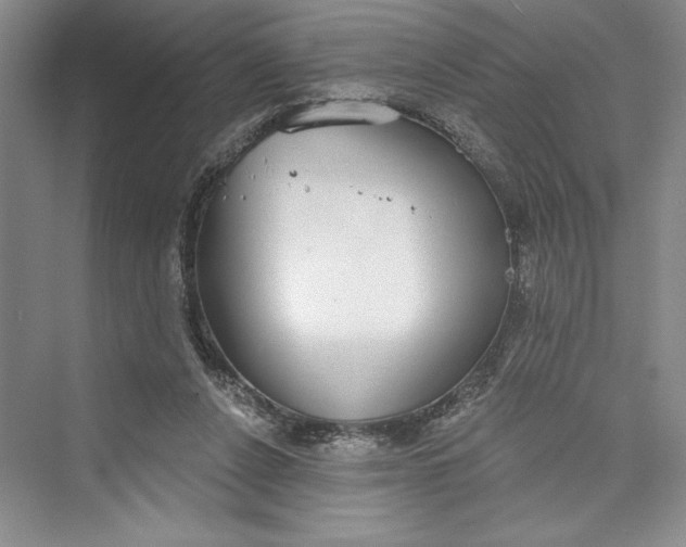 X0000073400256200608111306