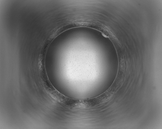 X0000073400259200608111306