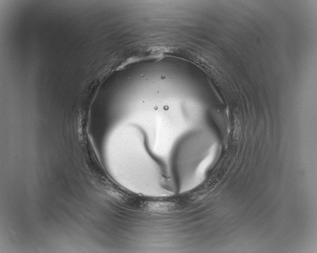 X0000073400268200608111307