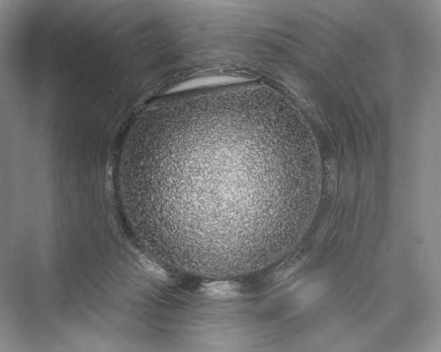 X0000073400269200608111307