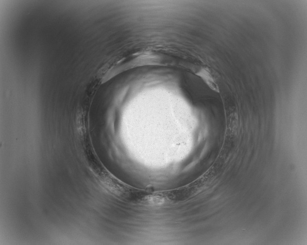 X0000073400272200608111307