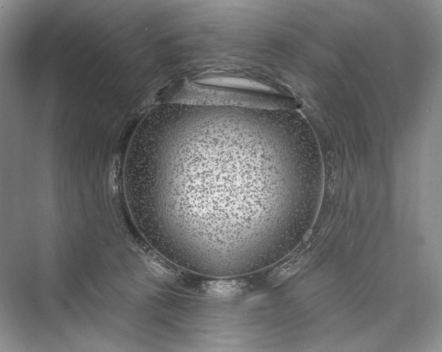 X0000073400273200608111307