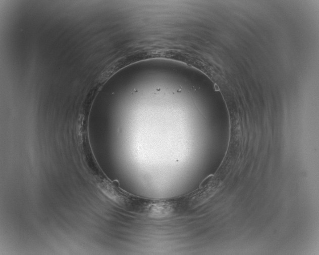 X0000073400275200608111307