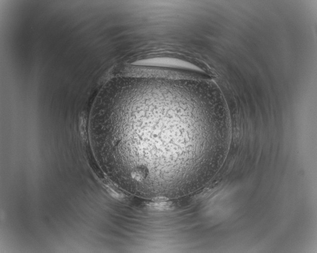 X0000073400281200608111307