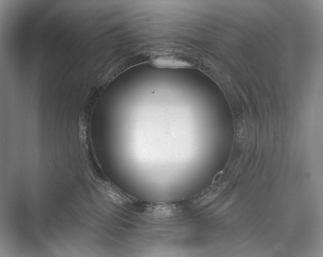 X0000073400282200608111307