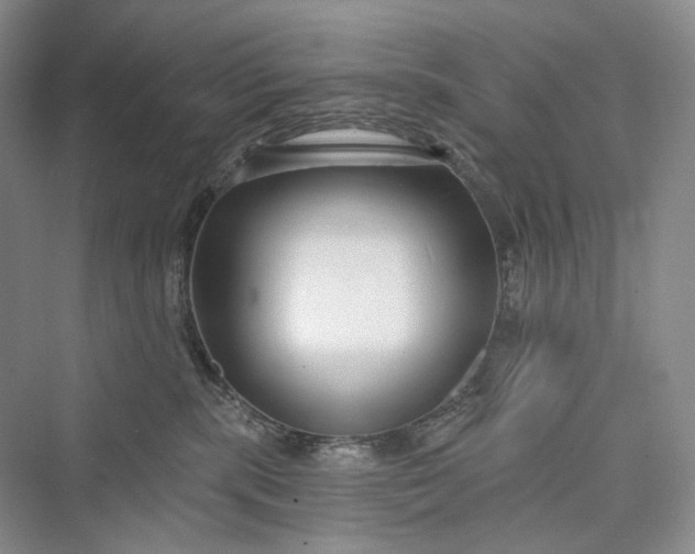 X0000073400283200608111307