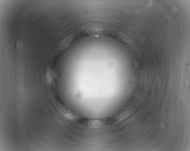 X0000073400287200608111307