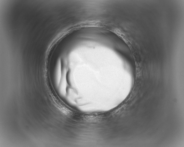 X0000073400293200608111306